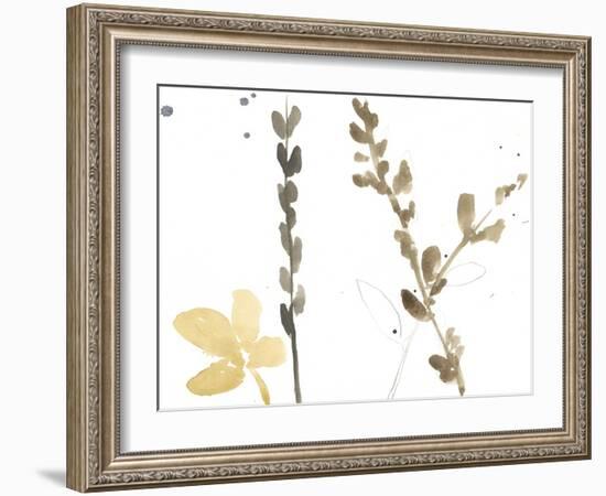 Branch Contours VIII-Jennifer Goldberger-Framed Art Print