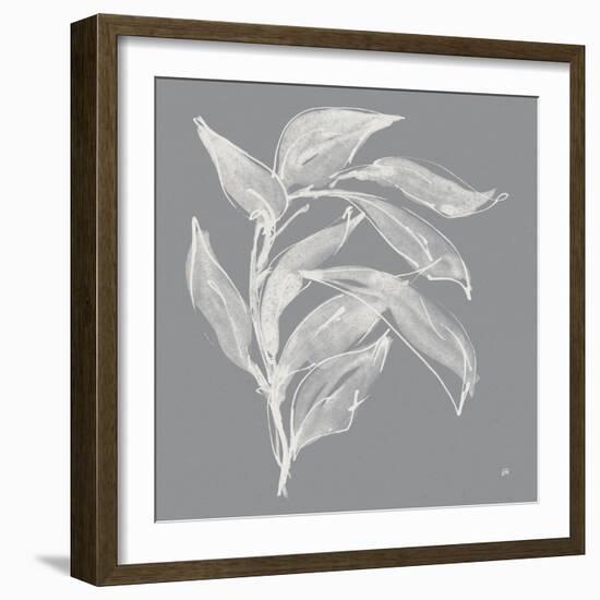 Branch I Gray-Chris Paschke-Framed Art Print