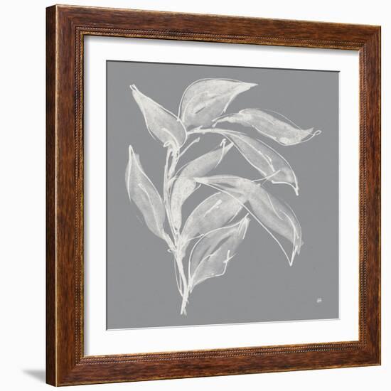 Branch I Gray-Chris Paschke-Framed Art Print