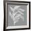 Branch I Gray-Chris Paschke-Framed Art Print