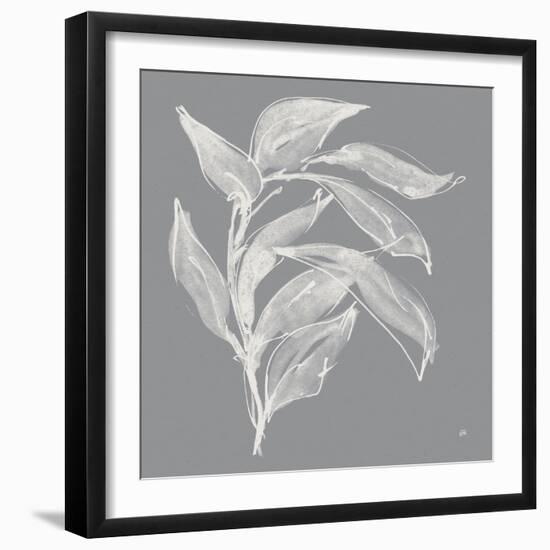 Branch I Gray-Chris Paschke-Framed Art Print