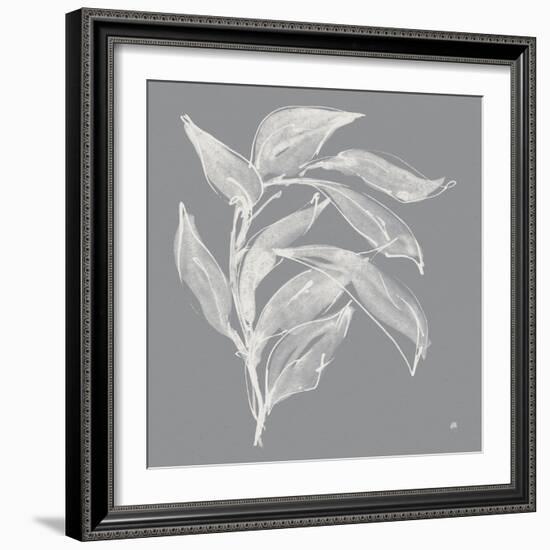 Branch I Gray-Chris Paschke-Framed Art Print