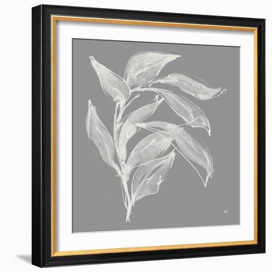 Branch I Gray-Chris Paschke-Framed Art Print