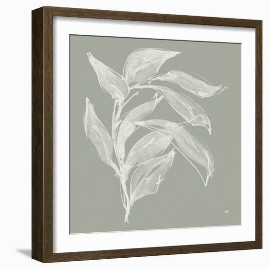 Branch I Sage-Chris Paschke-Framed Photographic Print