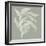 Branch I Sage-Chris Paschke-Framed Photographic Print