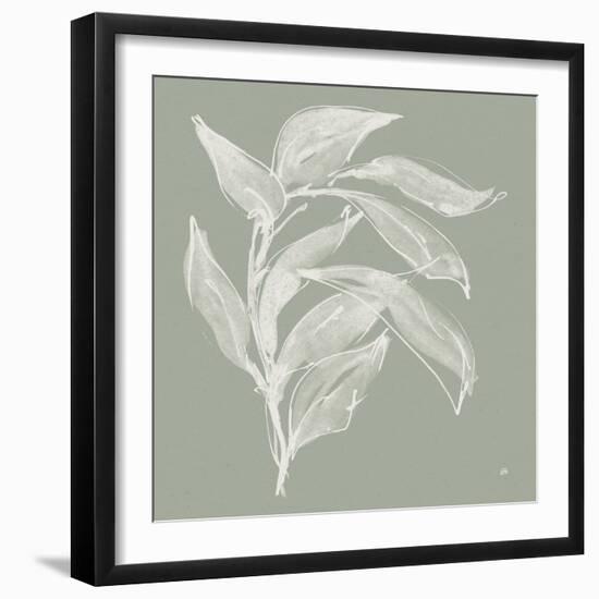 Branch I Sage-Chris Paschke-Framed Photographic Print