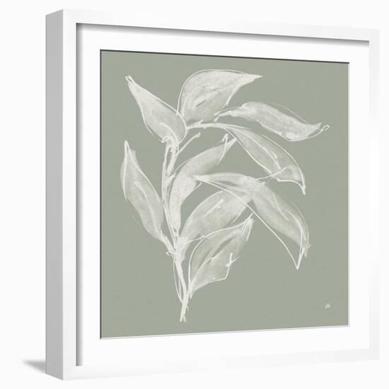 Branch I Sage-Chris Paschke-Framed Photographic Print