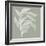 Branch I Sage-Chris Paschke-Framed Photographic Print