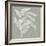 Branch I Sage-Chris Paschke-Framed Photographic Print