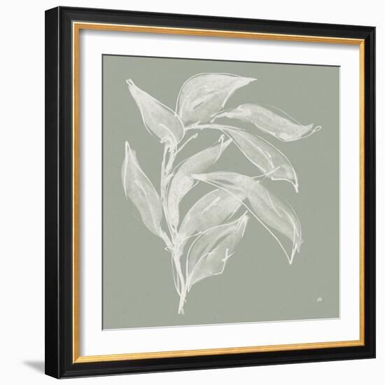 Branch I Sage-Chris Paschke-Framed Photographic Print