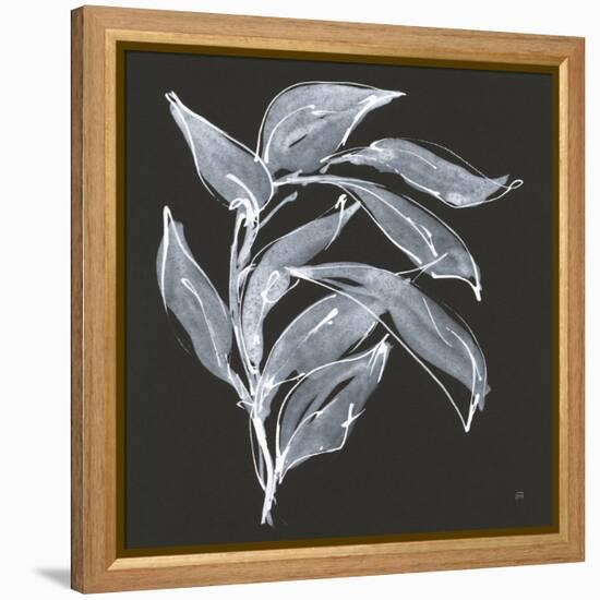 Branch I-Chris Paschke-Framed Stretched Canvas