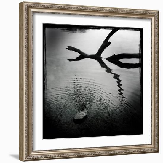 Branch in Water-Craig Roberts-Framed Photographic Print