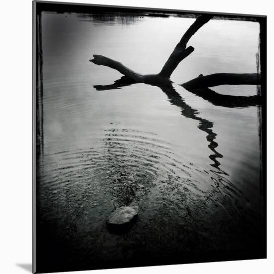 Branch in Water-Craig Roberts-Mounted Photographic Print