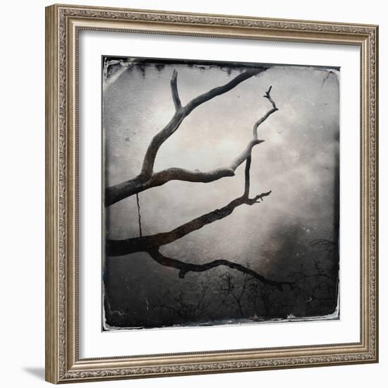 Branch in Water-Craig Roberts-Framed Photographic Print