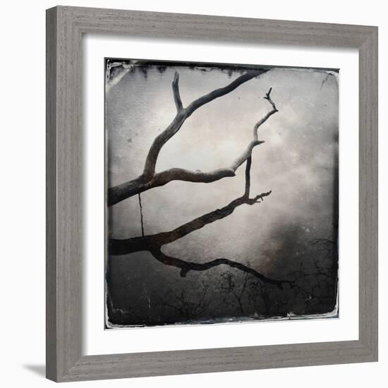 Branch in Water-Craig Roberts-Framed Photographic Print