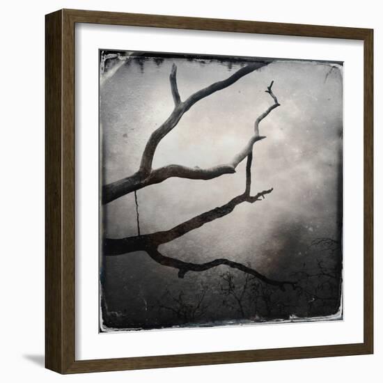 Branch in Water-Craig Roberts-Framed Photographic Print