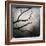 Branch in Water-Craig Roberts-Framed Photographic Print