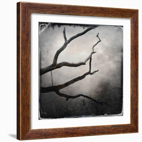 Branch in Water-Craig Roberts-Framed Photographic Print