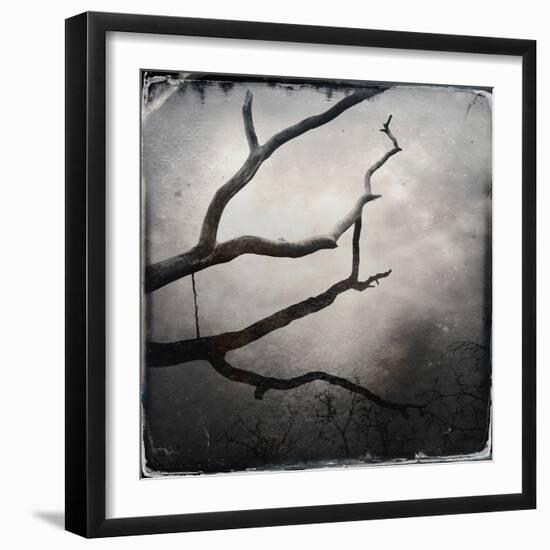 Branch in Water-Craig Roberts-Framed Photographic Print