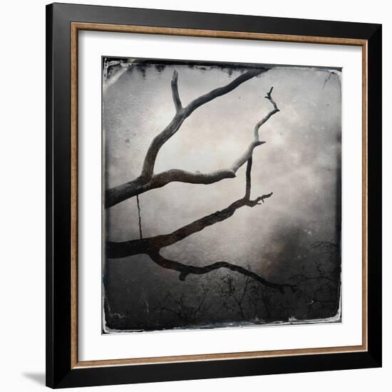 Branch in Water-Craig Roberts-Framed Photographic Print