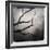 Branch in Water-Craig Roberts-Framed Photographic Print