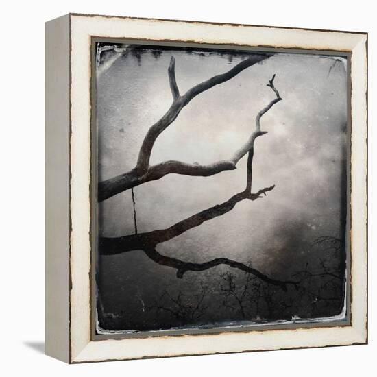 Branch in Water-Craig Roberts-Framed Premier Image Canvas