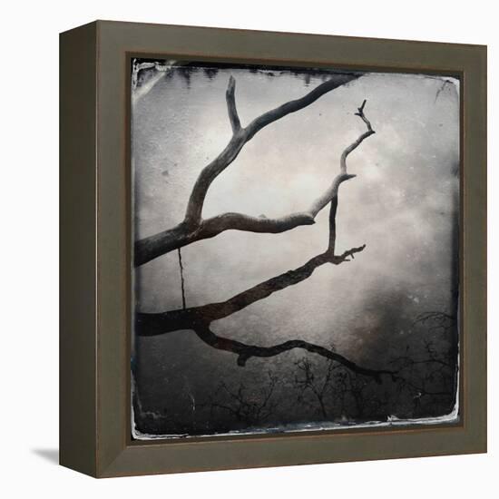 Branch in Water-Craig Roberts-Framed Premier Image Canvas