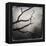 Branch in Water-Craig Roberts-Framed Premier Image Canvas