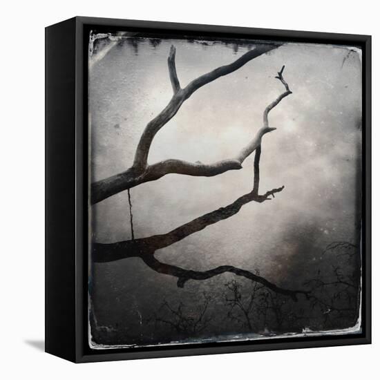 Branch in Water-Craig Roberts-Framed Premier Image Canvas
