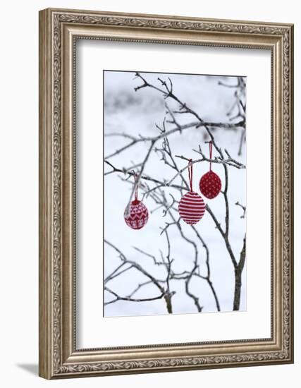 Branch in Winter with Christmas Bulbs, Cord Sample-Andrea Haase-Framed Photographic Print