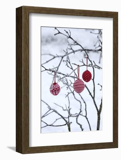 Branch in Winter with Christmas Bulbs, Cord Sample-Andrea Haase-Framed Photographic Print