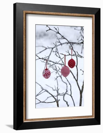 Branch in Winter with Christmas Bulbs, Cord Sample-Andrea Haase-Framed Photographic Print