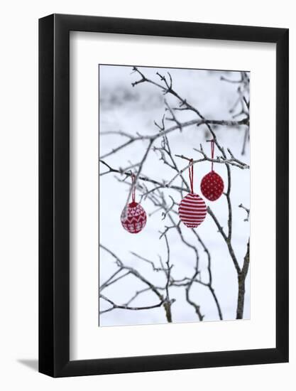 Branch in Winter with Christmas Bulbs, Cord Sample-Andrea Haase-Framed Photographic Print