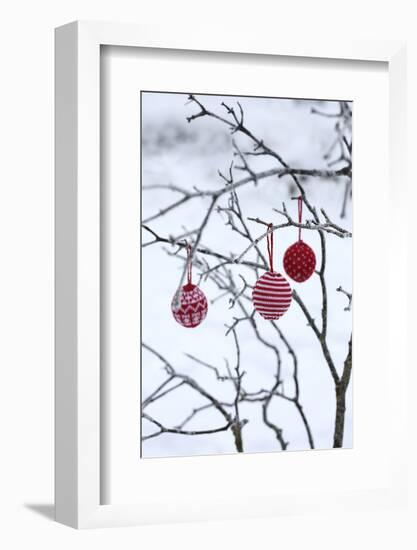 Branch in Winter with Christmas Bulbs, Cord Sample-Andrea Haase-Framed Photographic Print