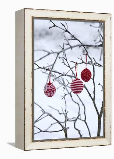 Branch in Winter with Christmas Bulbs, Cord Sample-Andrea Haase-Framed Premier Image Canvas