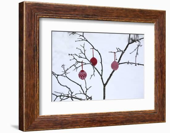 Branch in Winter with Christmas Bulbs, Cord Sample-Andrea Haase-Framed Photographic Print