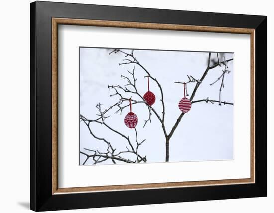 Branch in Winter with Christmas Bulbs, Cord Sample-Andrea Haase-Framed Photographic Print