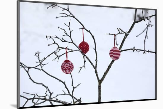 Branch in Winter with Christmas Bulbs, Cord Sample-Andrea Haase-Mounted Photographic Print