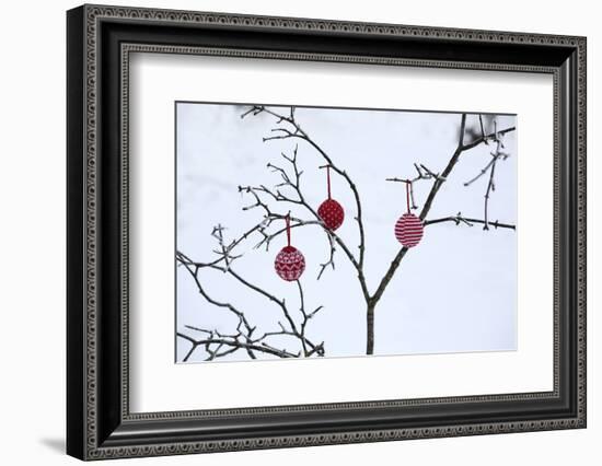 Branch in Winter with Christmas Bulbs, Cord Sample-Andrea Haase-Framed Photographic Print