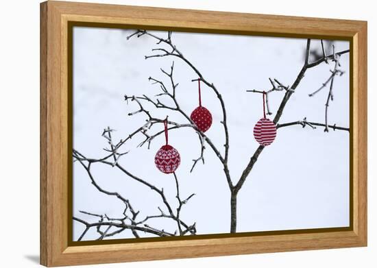 Branch in Winter with Christmas Bulbs, Cord Sample-Andrea Haase-Framed Premier Image Canvas