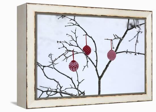 Branch in Winter with Christmas Bulbs, Cord Sample-Andrea Haase-Framed Premier Image Canvas