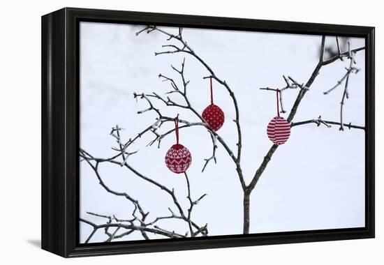 Branch in Winter with Christmas Bulbs, Cord Sample-Andrea Haase-Framed Premier Image Canvas