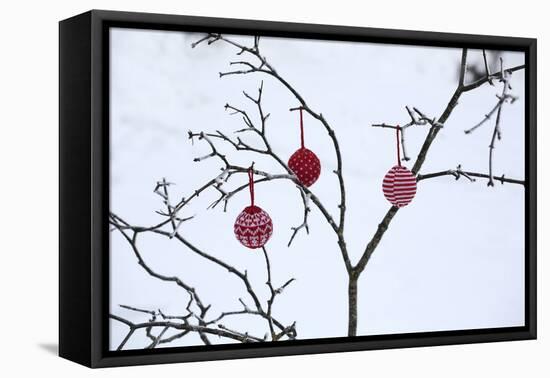 Branch in Winter with Christmas Bulbs, Cord Sample-Andrea Haase-Framed Premier Image Canvas