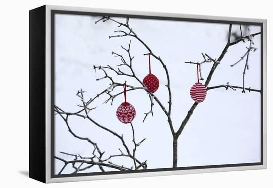 Branch in Winter with Christmas Bulbs, Cord Sample-Andrea Haase-Framed Premier Image Canvas