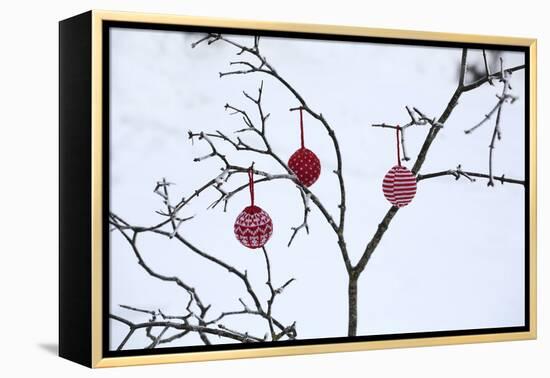 Branch in Winter with Christmas Bulbs, Cord Sample-Andrea Haase-Framed Premier Image Canvas