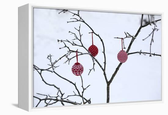 Branch in Winter with Christmas Bulbs, Cord Sample-Andrea Haase-Framed Premier Image Canvas