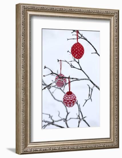 Branch in Winter with Christmas Bulbs, Cord Sample-Andrea Haase-Framed Photographic Print