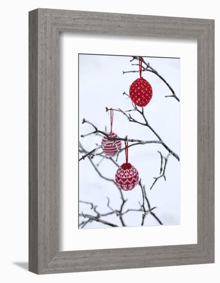 Branch in Winter with Christmas Bulbs, Cord Sample-Andrea Haase-Framed Photographic Print