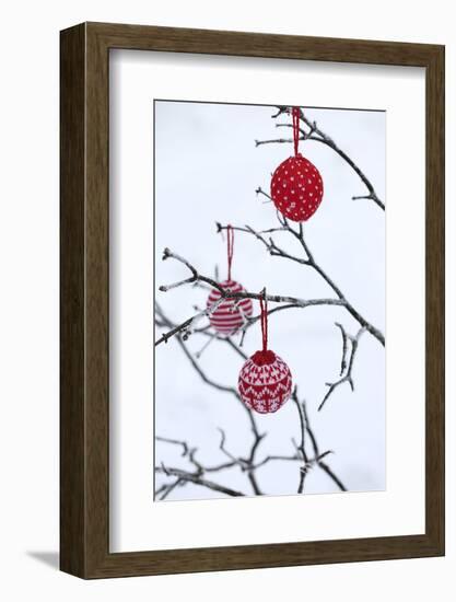 Branch in Winter with Christmas Bulbs, Cord Sample-Andrea Haase-Framed Photographic Print