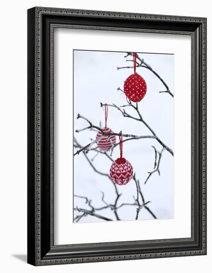 Branch in Winter with Christmas Bulbs, Cord Sample-Andrea Haase-Framed Photographic Print